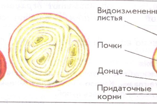 Кракен даркнет только через торг