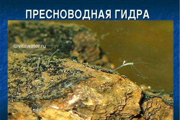 Как зарегаться в кракен