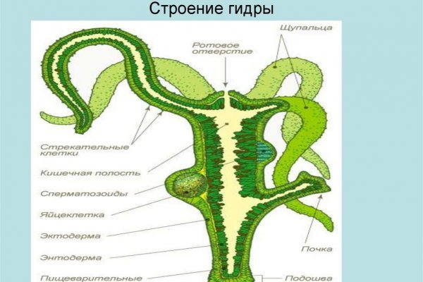 Зайти кракен через тор