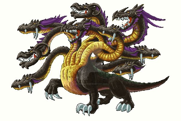 Kraken 17 at net
