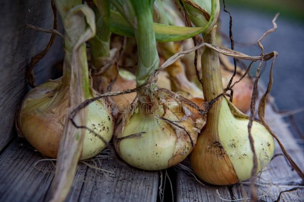 Кракен сайт официальный onion