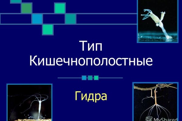 Даркнет площадки