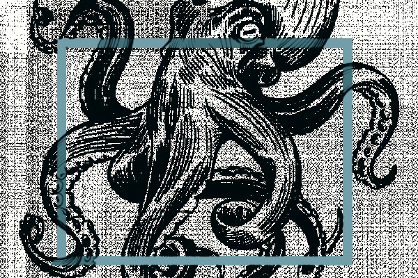 Kraken 24at