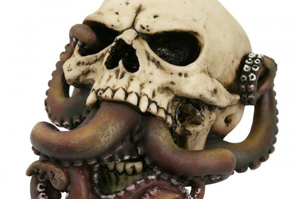 Kraken 11at