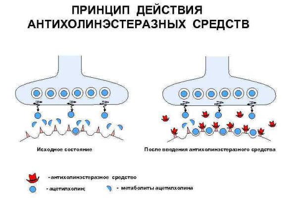 Адрес сайта кракен