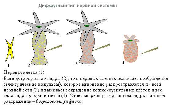 Кракен торговая площадка даркнет
