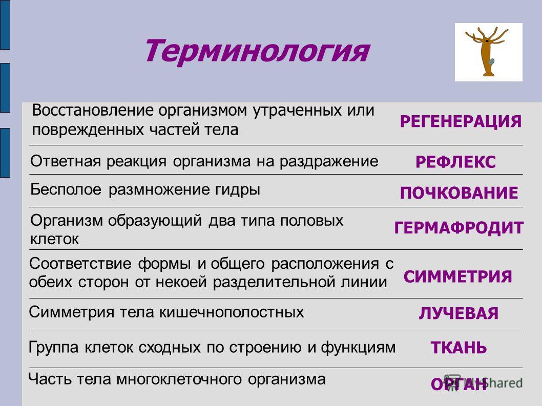 Кракен запрещенные вещества